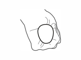 Bokken quercia bianca